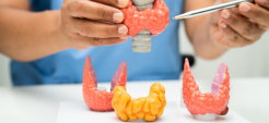 Endocrinology & Diabetology